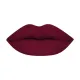 COLORS QUEEN LUSCIOUS LIPS LIPSTICK | NON-TRANSFER | MATTE-LIPSTICK | DL-1242 