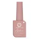 COLORS QUEEN NAIL AFFAIR MATTE NAIL LACQUER (NAIL POLISH) 13ML AN-65 