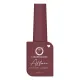 COLORS QUEEN NAIL AFFAIR MATTE NAIL LACQUER (NAIL POLISH) 13ML AN-65 