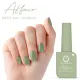 COLORS QUEEN NAIL AFFAIR MATTE NAIL LACQUER (NAIL POLISH) 13ML AN-65 