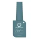 COLORS QUEEN NAIL AFFAIR MATTE NAIL LACQUER (NAIL POLISH) 13ML AN-65 