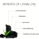 SHILLS PROFESSIONAL FACE WASH | CHARCOAL | OIL CONTROL 
